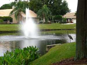Fountain in Pond with Crane Bird