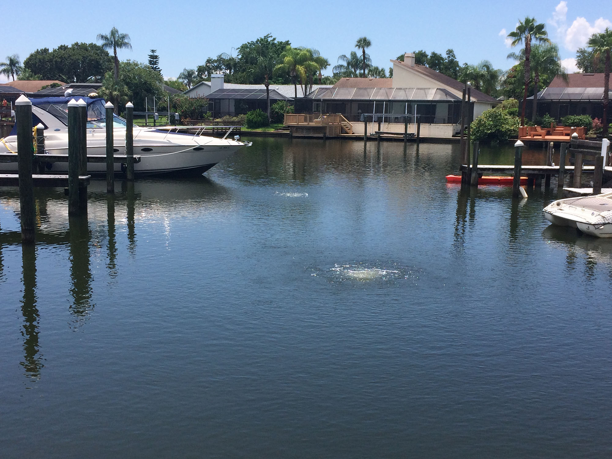 Aeration system in residential marina. Note bubbles rising from bottom diffuser to surface.