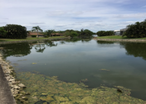lake and pond management