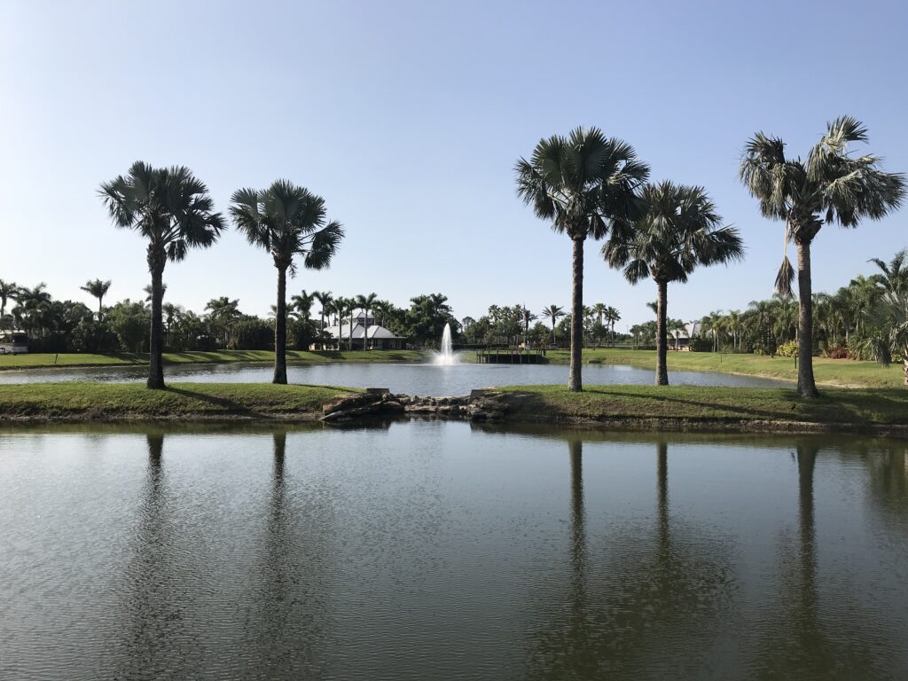 Large lake with a fountain in the middle, surrounded by greenery and palm trees.