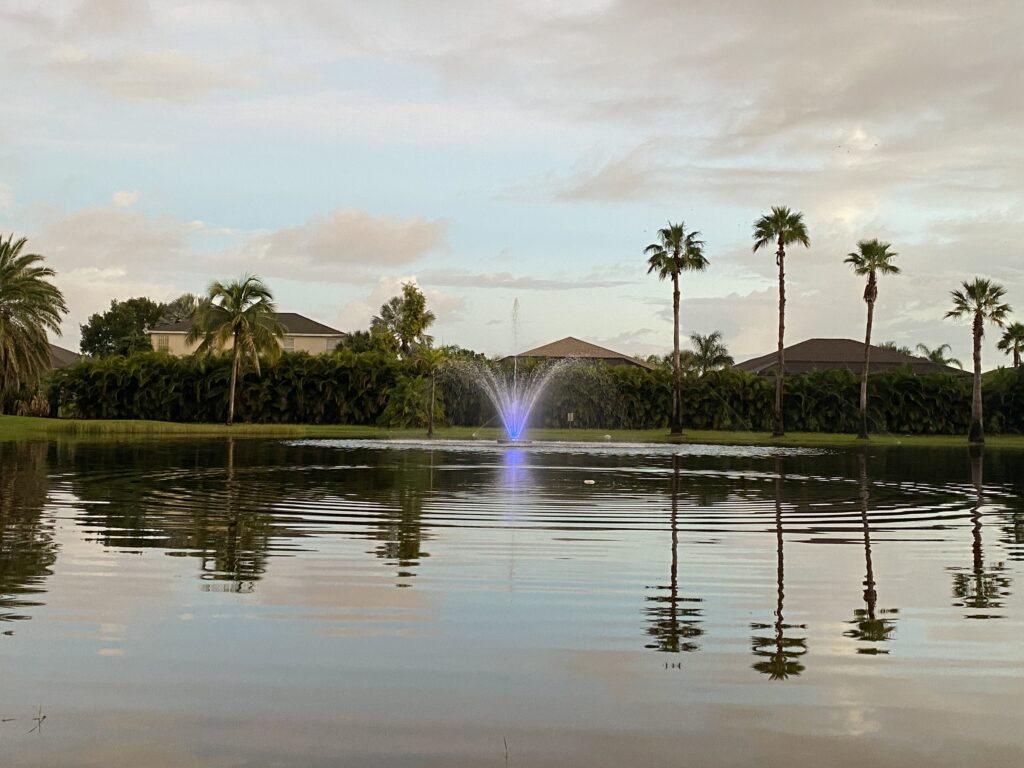 A large fountain in the middle of a lake surrounded by palm trees.