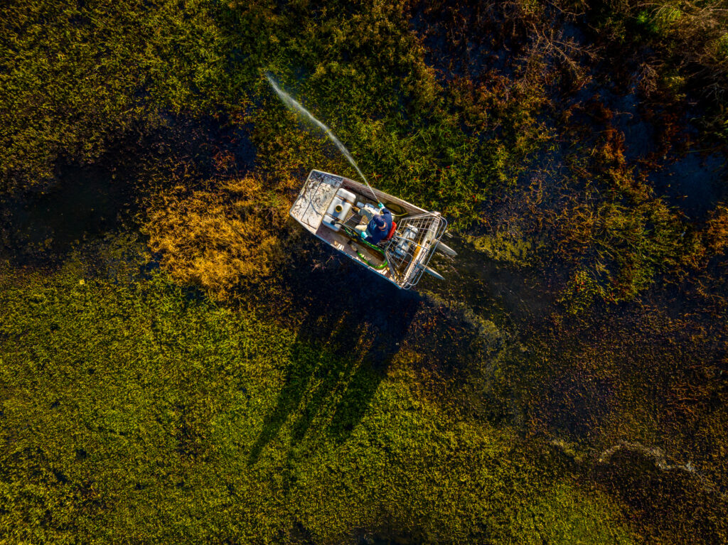 A boat in a very plant-ridden lake, cleaning it with a hose.