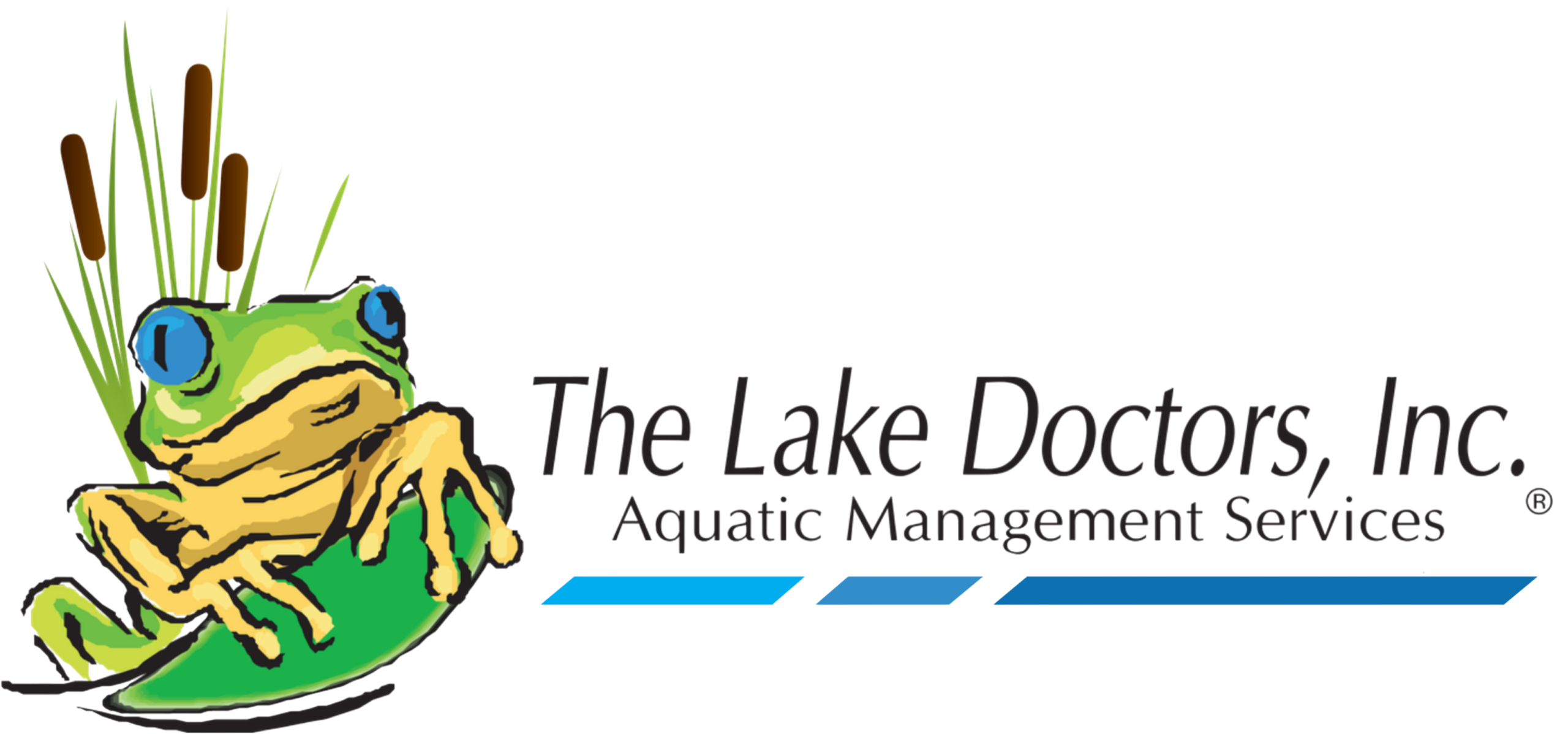 2026 Lake Doctors logo (transparent)